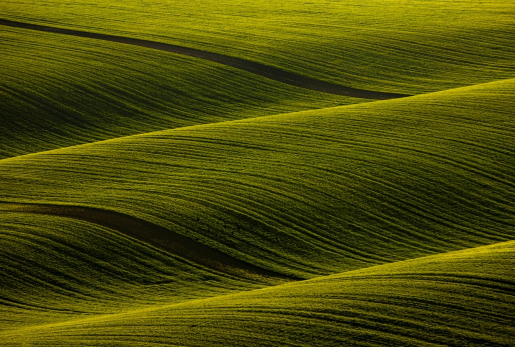 fotografie krajiny Velké Karlovice – zelené vlny pole