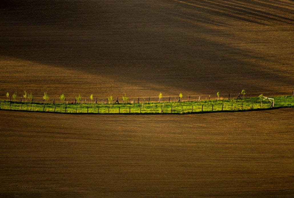 fotografie krajiny Velké Karlovice – minimalistická krajina s horizontem