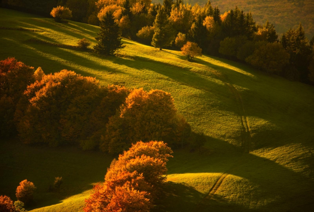 krajina Velké Karlovice – kopcovitá krajina