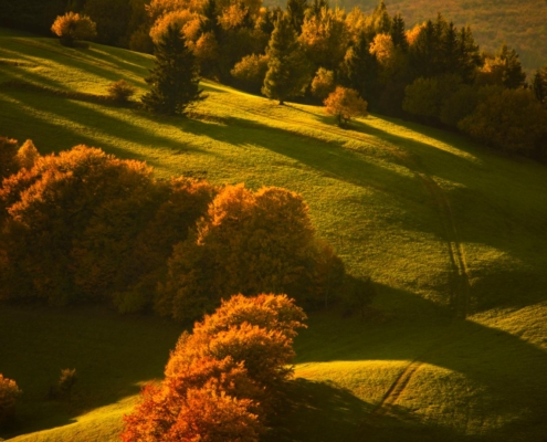 krajina Velké Karlovice – kopcovitá krajina