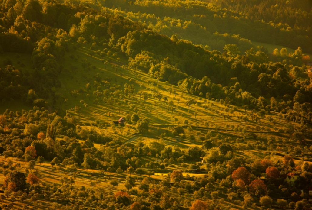 fotografie krajiny Velké Karlovice – Závrší