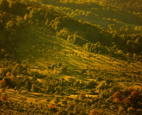 fotografie krajiny Velké Karlovice – Závrší